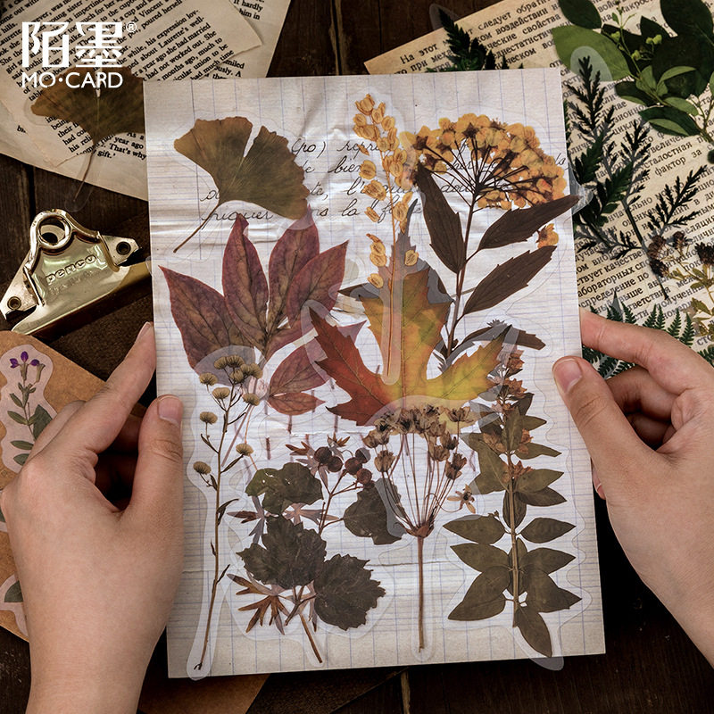 复古植物PET大贴纸包手账贴画