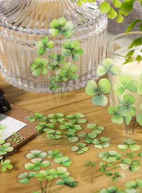 叶语自然PET贴纸包水彩绿色系植物水杯手机壳diy手帐装饰素材贴画