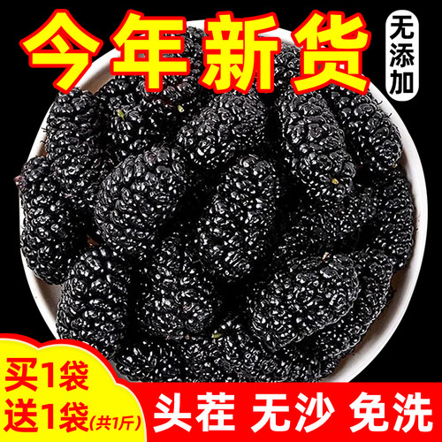 山东黑桑葚干新货免洗即食泡水喝