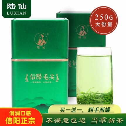 信阳毛尖官方旗舰店特级信阳毛尖茶叶绿茶2026新茶125g买一送一