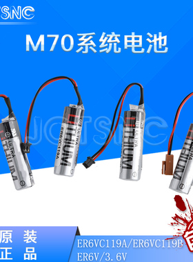 包邮 全新 ER6V/3.6V/ER6VC119A/ER6VC119B M70系统电池专用3.6V