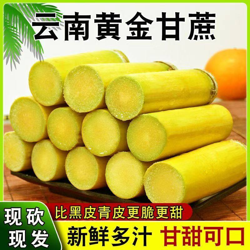 云南正宗黄皮甘蔗5斤应季新鲜脆甜多汁黄金甘蔗中段热带水果包邮,水产肉类/新鲜蔬果/熟食,甘蔗,淘宝优惠券,粉丝福利购,淘宝优惠卷