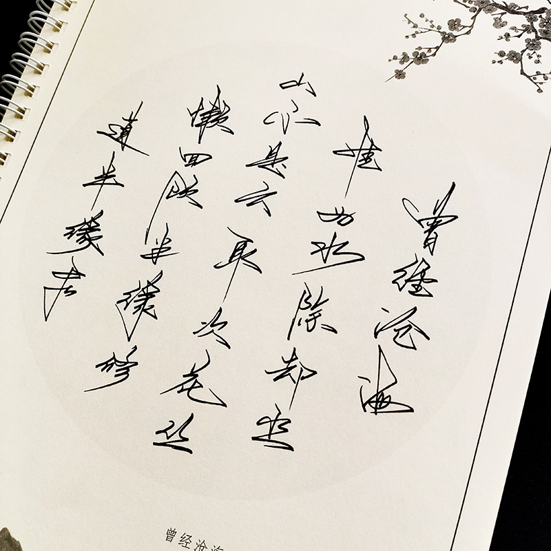 钢笔硬笔临摹字帖行草连体字成人大学生潇洒唯美行云流水字体飘逸