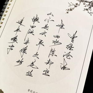 钢笔硬笔临摹字帖行草连体字