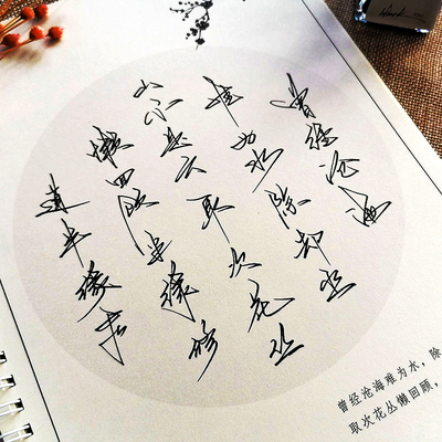 成人硬笔临摹字帖草书练习硬笔