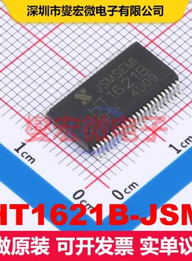 HT1621B-JSM SSOP-48 显示驱动器 电源管理 集成芯片IC