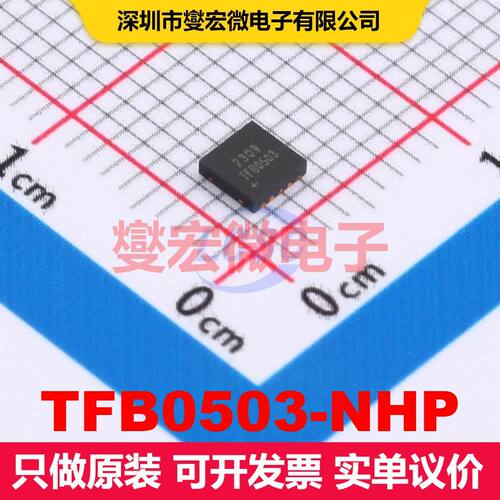 TFB0503-NHP TDFN-10 闸极驱动器 电源管理 集成芯片IC