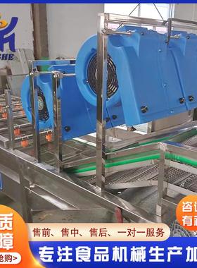 干姜清洗风流水线 多功能袋装品杀大菌清产洗EZM风干机 强流翻转