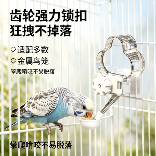 外置防脱塑料自动鹦鹉饮水器