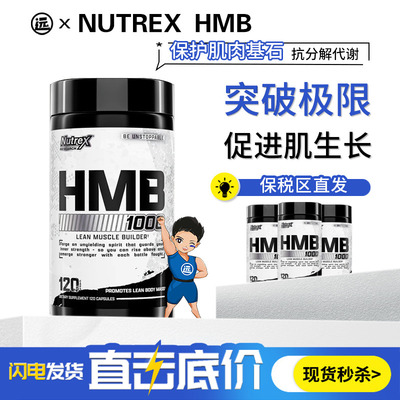 【新客直降】炽天使HMB