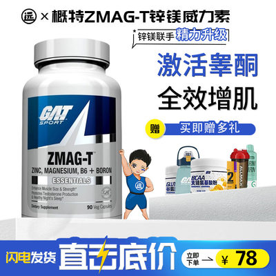 美国GAT锌镁威力素ZMAG-T增肌