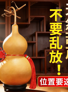 天然的干葫芦开口闭口带龙头门对门五帝钱挂件特大号文玩摆件