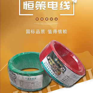 2.5 新中策国标阻燃BV铜芯硬线家装 1.5 家用电线缆1 6平方100米