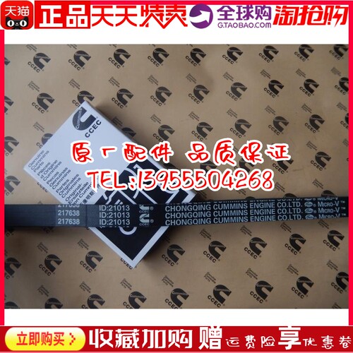 217638 CUMMINS重庆康明斯柴油发动机NT855原厂水泵皮带217638