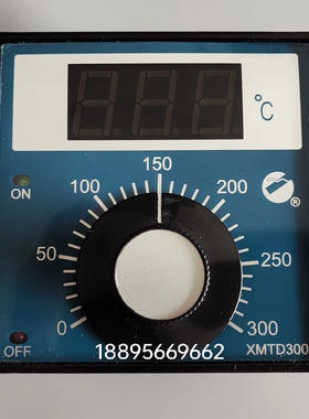 XMTD-3001余姚工旺仪表温控表 温控仪220V  0～300.C