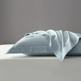 枕套一对装 2026新款 全棉枕套100s长绒棉枕芯套纯色秋冬整头夏季