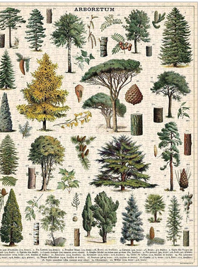 现货 美国 Cavallini 植物园 树叶 复古1000片纸质进口拼图