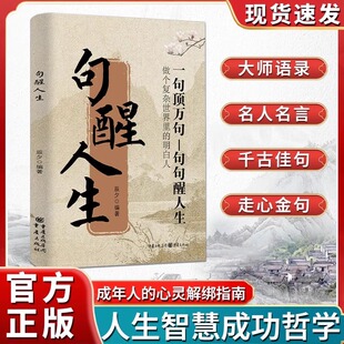 句醒人生一句顶万句做复杂世界里的明白人励志解压人生哲理句宝盆书籍走出内心困境人生答疑哲学智慧人际交往沟通技巧高情商聊天Z