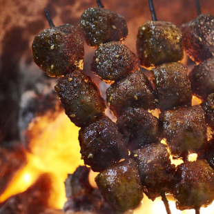 青海烤羊肠500g 西宁特色小吃顺丰空运 高原炕羊肠真空装