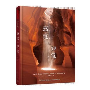 万千心理-感觉与知觉：第十版心理学人工智能医学研究认知心理学视觉听觉味觉嗅觉肤觉认知神经科学神经生理学