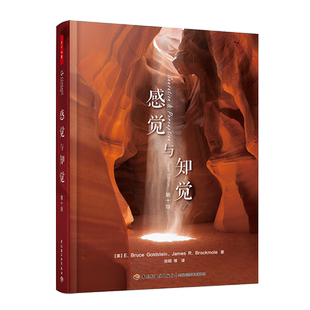 万千心理-感觉与知觉：第十版心理学人工智能医学研究认知心理学视觉听觉味觉嗅觉肤觉认知神经科学神经生理学9787518417605