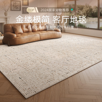 地毯客厅2024新款卧室地垫免洗可擦轻奢高级感家用极简沙发茶几毯
