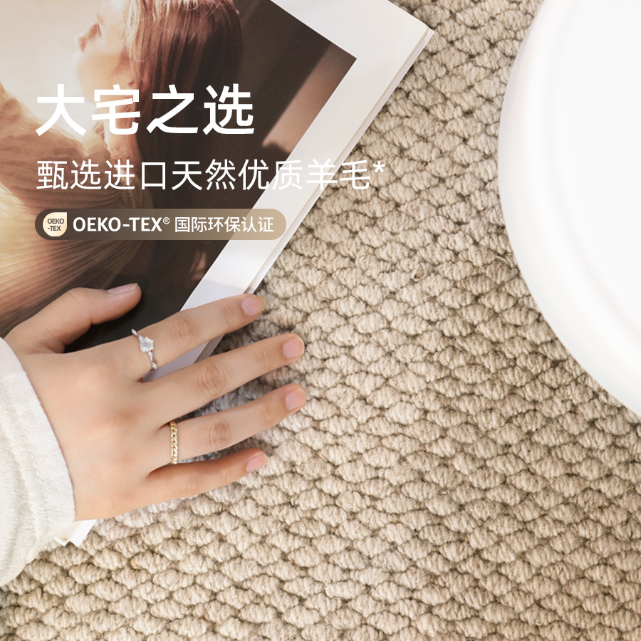 进口羊毛地毯客厅素色高级感轻奢卧室沙发毯侘寂耐脏纯色2025新款