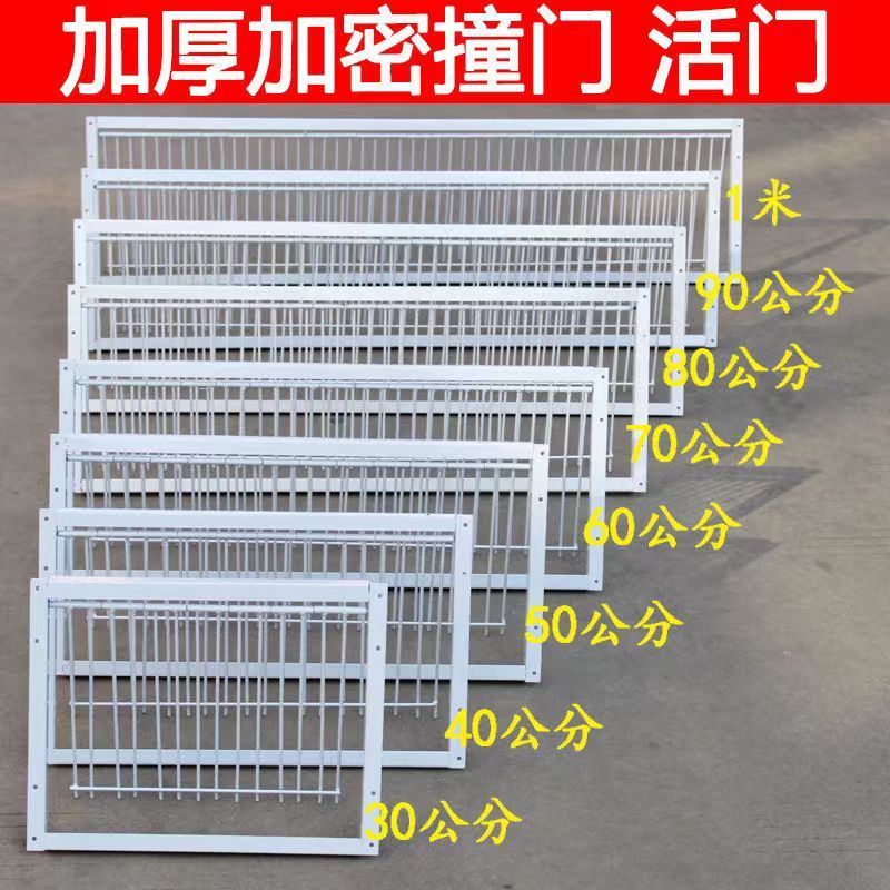 鸽子用品用具鸽子活络门撞门信鸽赛鸽用品加厚加密回笼门鸽具碰门-封面