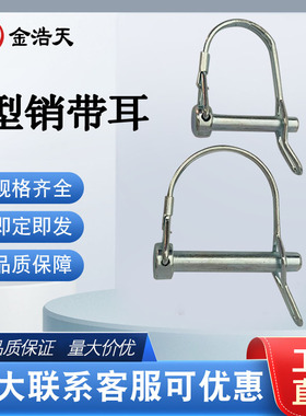 D型锁销带耳朵安全销 保险销 扣销定位销 弹簧销 D型锁销6*40带耳