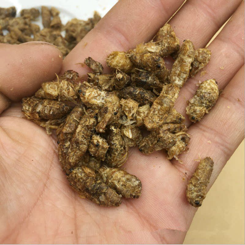 雄蚕蛾纯野生 男性500克包邮泡养生泡酒料非同仁堂可磨雄蚕蛾粉