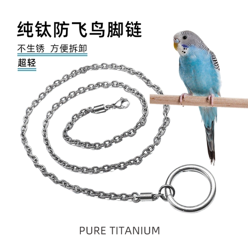 纯钛鹦鹉脚链超轻不伤脚防咬防逃虎皮玄凤牡丹专用遛鸟防飞鸟链