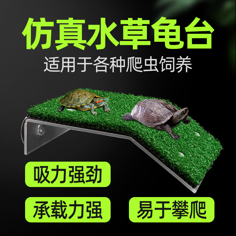 乌龟晒台爬台亚克力吸盘高水位