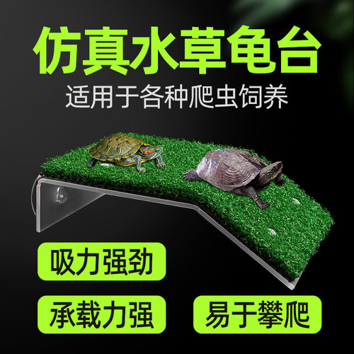 乌龟晒台爬台亚克力吸盘高水位