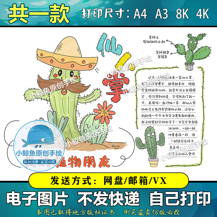 160植物观察记录仙人掌手抄报黑白线稿模板电子版半成品可涂色