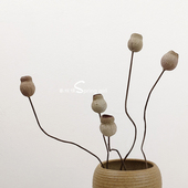 饰品 家居复古装 南非进口招财果干花 一口钟烟斗果永生花diy花材