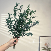 永生花尤加利叶细叶绿色插花植物干花高级感真花家居装 饰叶百搭