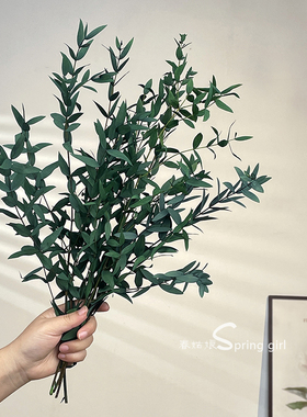 永生花尤加利叶细叶绿色插花植物干花高级感真花家居装饰叶百搭