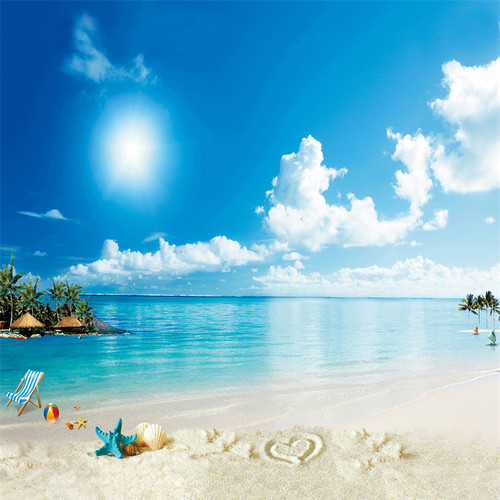 海景沙滩直播间背景布白云蓝天海边椰树风景主播拍照3d立体背景墙