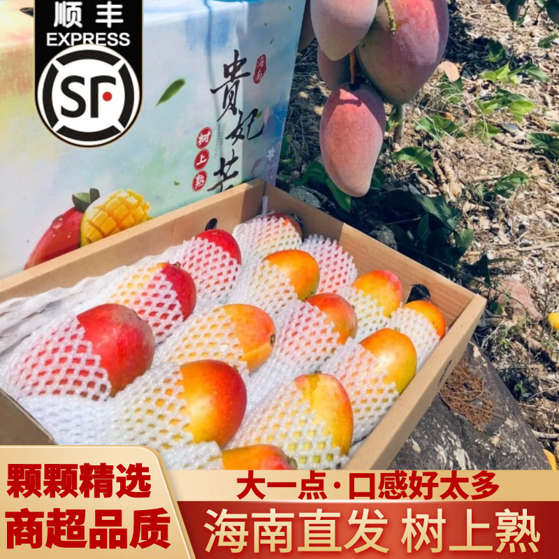 海南三亚贵妃芒果树上熟当季新鲜水果现摘红金龙纯甜芒果整箱顺丰