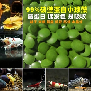 小球藻鱼食鼠鱼胡子大帆异型底栖鱼饲料苏螺水晶虾苏虾虾粮开口粮