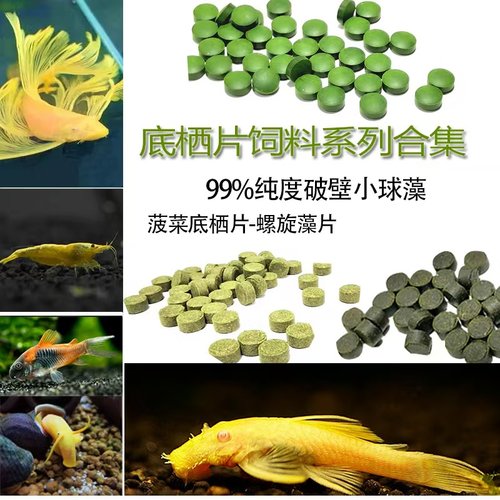 破壁小球藻菠菜鱼粮黄金胡子鱼大帆鱼螺旋藻片异型鱼水晶虾食饲料