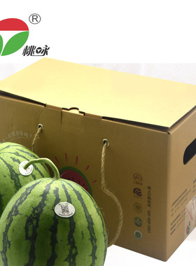 【桃咏】上海本地南汇8424西瓜2个装 单果6-7斤新鲜水果