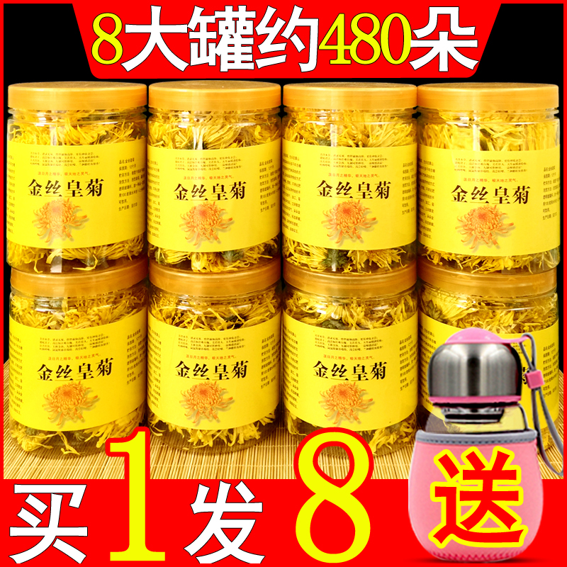 菊花茶一朵一杯金丝皇菊枸杞茶