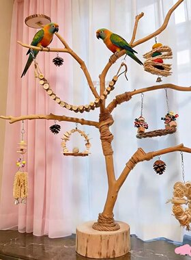 鸟站架树枝树杆鹦鹉站架树干原木站杆树杈秋千鸟笼实木灯架枯枝