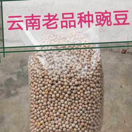 干豌豆 生豌豆粒 云南农家自种新货豌豆5斤包邮 可发豌豆芽做种子