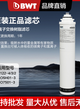 德国BWT倍世净水器原装进口净水机家用厨房自来水过滤器直饮滤芯