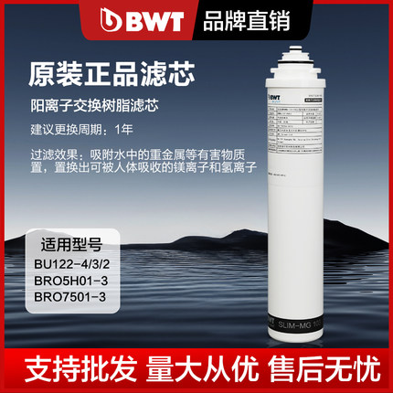 德国BWT倍世净水器原装进口净水机家用厨房自来水过滤器直饮滤芯