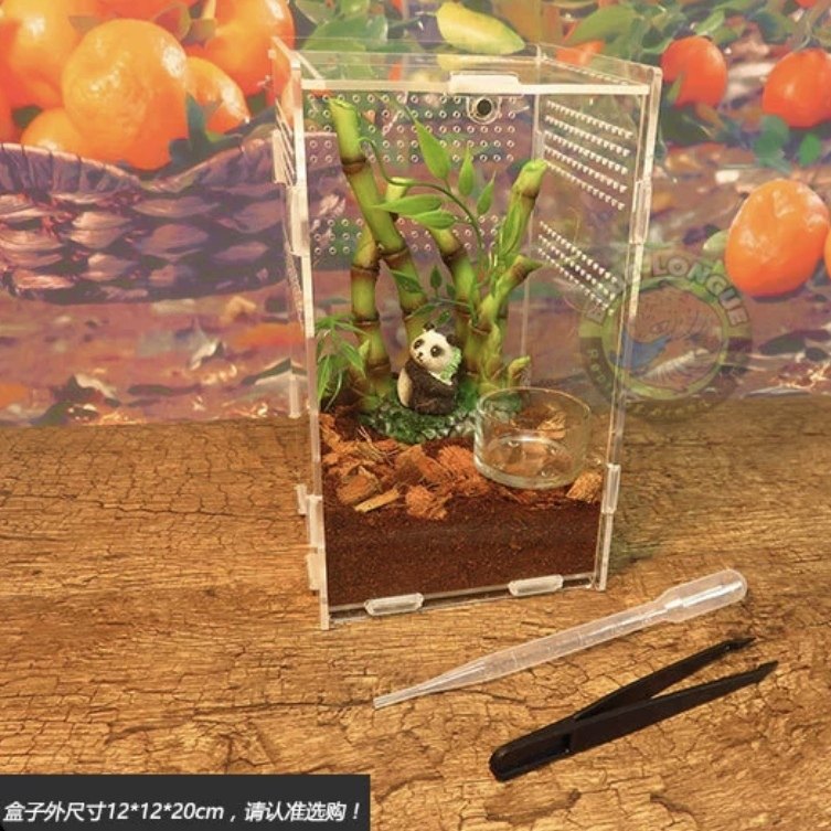 高透明亚克力饲养箱树栖捕鸟蛛宠物用蜘蛛树蛙12*12*20cm高饲养盒