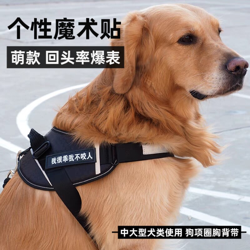 狗绳子猫咪牵引绳比熊金毛小中大型犬胸背式防爆冲防挣脱外出专用