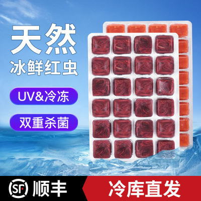 yee红虫冰冻鱼粮牛心汉堡水蚤